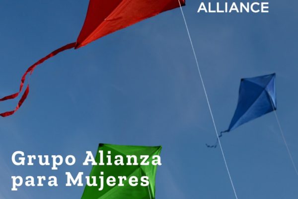Grupo Alianza Flyer