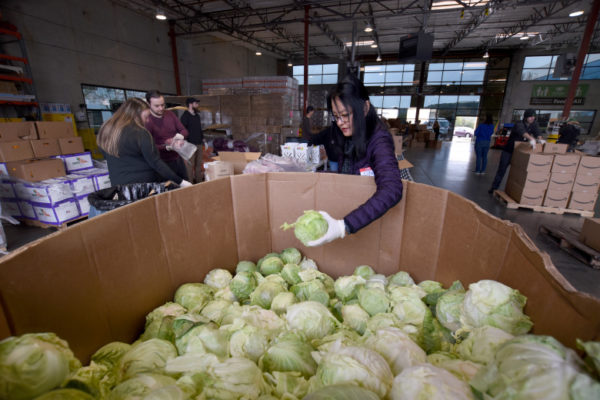 Volunteer Annie Cheng