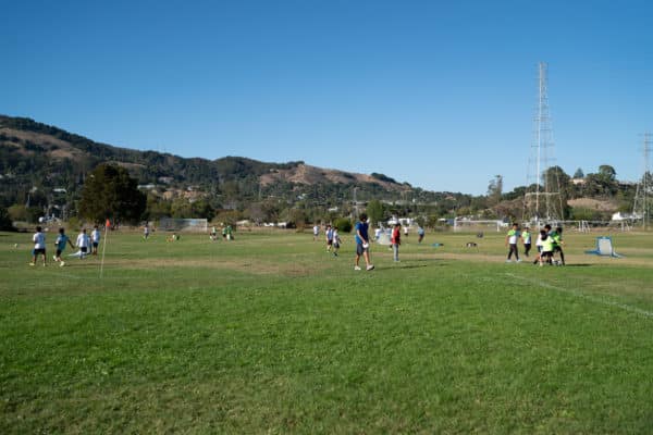 Pickleweed Park Green Field